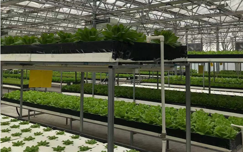 老子有钱lzyq88(中国)有限公司官网